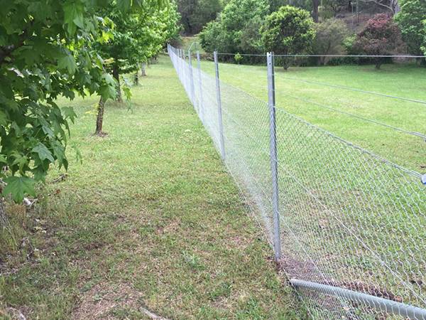 Star pickets are installed in garden with steel wires and chain link wire mesh.